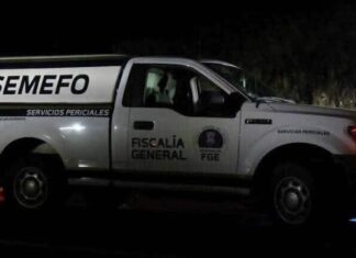 Una mujer y sus dos hijos fueron encontrados sin vida dentro de su casa