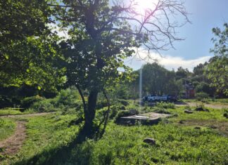 Por tercera ocasion en menos de una semana fue localizado el cuerpo sin vida de una persona en el camino de acceso a la comunidad de Alfaro, en Leon.