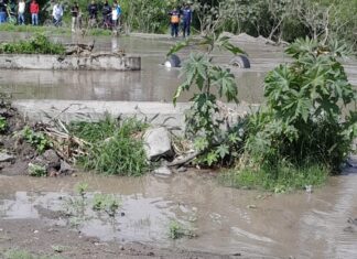 Conductor de una tolva cayó junto con su unidad en el Rio Laja, en Cortazar.