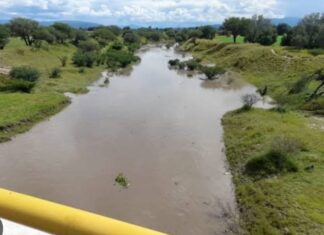 Avistan cuerpo de hombre flotando en el Río Laja; autoridades no logran recuperarlo