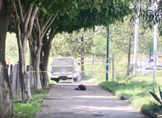 Un hombre fue asesinado a balazos en el area de donacion de la colonia Cañada del Real, en Leon.