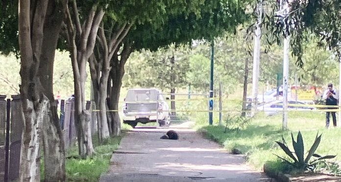 1ec6d8e3-cc13-4af0-bbb7-7428acfd1282