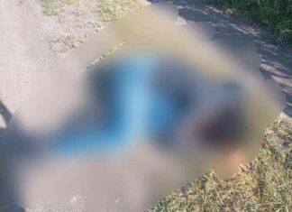 El cuerpo sin vida de un joven con impactos de bala, fue localizado en un camino de terracería de la comunidad. Lagunillas, en Leon.