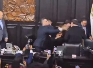 Enloquece «Alito» Moreno y golpea a Férnandez Noroña y a trabajadores del Senado de la República.