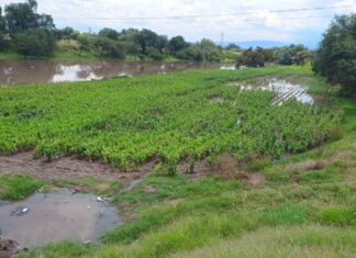 Vecinos de la colonia Cuauhtémoc exigen un proyecto integral para evitar más desbordamientos del canal de Labradores