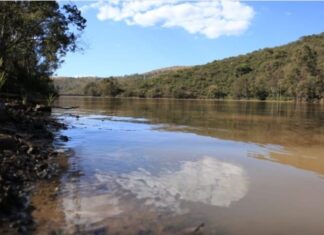 Presas de Guanajuato alcanzan el 80 por ciento de su capacidad en promedio.
