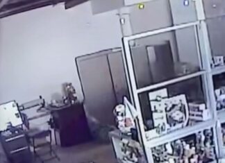 Salvatierra: Denuncian robo en la Parroquia del Señor del Encinal