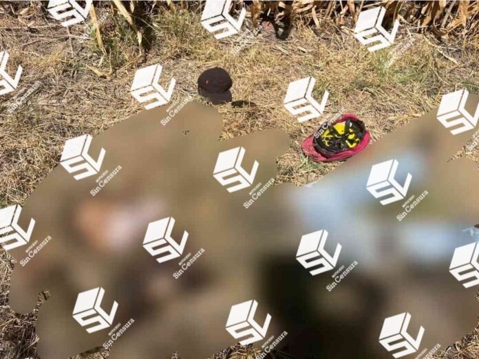 02093502-ef9d-40db-84d4-49f68eef0e57