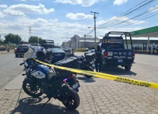 Un moto patrullero de León, perdió la vida, luego de ser arrollado por el conductor de una camioneta.