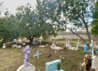 *Es falso que no se puedan usar flores naturales en los panteones municipales*