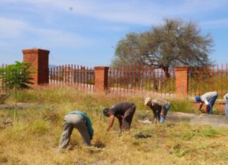 La Dirección de Servicios Municipales realiza limpieza en el Panteón Nuevo “Fray Elías del Socorro Nieves”