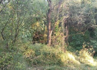 El cuerpo de una mujer en estado de descomposición, fue localizado en la compuerta del bordo de la presa, El Barrial, en Purísima del Rincon.