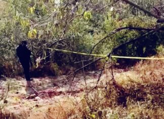 Brigada de Busqueda, independiente del colectivo, hasta encontrarte m, localizaron restos humanos en un predio de la comunidad de Tamahuala en Irapuato.