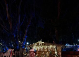 Nacimiento Monumental en “Luminaria: Una Navidad de Todos” cautiva a las familias.