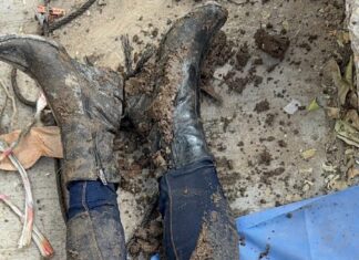 Colectivo de personas desaparecidas “Hasta Encontrarte” localizaron el cuerpo de una mujer, enterrada en la comunidad de Guadalupe de Cárdenas, en Irapuato….