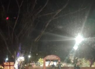 Llaman a cuidar instalaciones de Luminaria: Una Navidad de Todos tras actos de vandalismo.