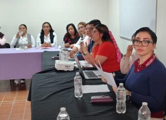 XI Sesión Ordinaria de la Mesa Interinstitucional de Prevención y Atención de la Violencia de Género