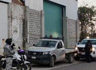 Un hombre fue asesinado a balazos al interior de una ferretería, en el camino entre las comunidades de San Antonio de Flores y La Capilla en Salamanca.