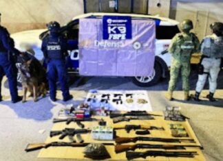 Elementos de la Secretaría de Seguridad y Paz del Estado de Guanajuato, frustran el envío de quince armas, municiones y presunta droga.
