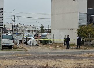 El cuerpo de una persona con visibles huellas de violencia, fue localizado en Leon.