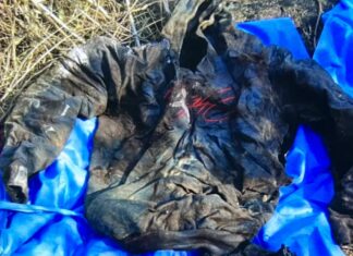 Colectivo “Hasta encontrarte”, localizó restos humanos en una parcela en la comunidad de Cuchicuato, en Irapuato..