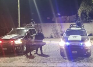 Encuentran restos humanos de alMenos tres personas desmembradas, en los límites entre Valle y Yuriria.