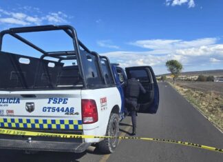 En hechos distintos cinco personas fueron asesinadas a balazos y una más privada de su libertad en Salamanca.
