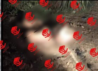 Los cuatro cuerpos localizados sin vida en ValleDeSantiago, eran originarias de Michoacán