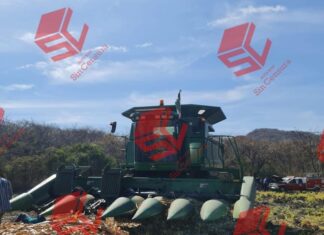 Máquina trilladora cercena ambas piernas a agricultor de 51 años, en San Andrés Enguaro Yuriria.