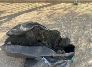 Localizan cuerpo calcinado en bolsa frente a instalaciones de la Fiscalía en Leon.