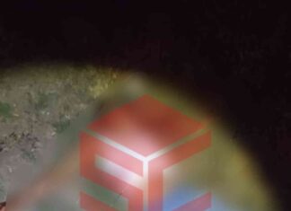 Ataque armado deja a un individuo sin vida en la comunidad de San José Del Carmen en Salvatierra